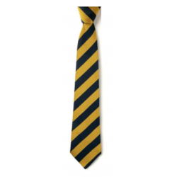 Walmley Junior School - Clip On Tie